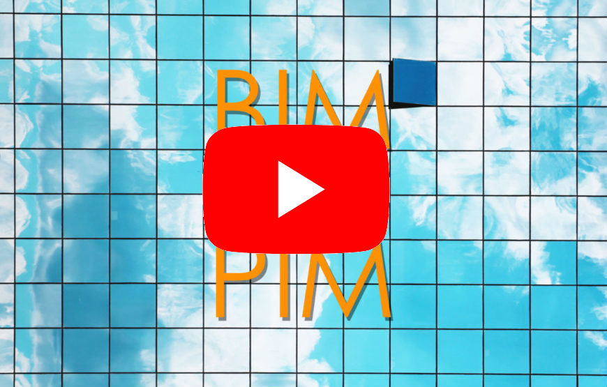 BIM Y PIM- Play